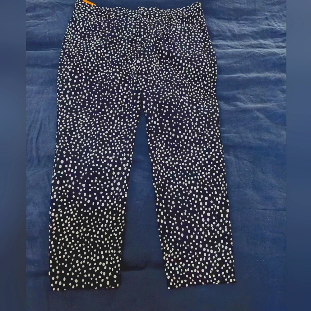 NW/OT 4P BANANA REPUBLIC SLOAN FIT PANTS